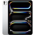 Apple iPad Pro 11-inch M4 2024 1TB Wi-Fi with Standard glass Silver MVVF3