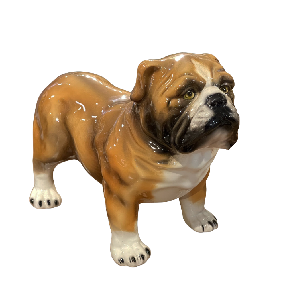 Boxer Бульдог