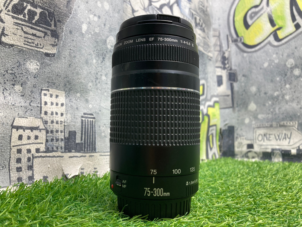 Canon EF 75-300mm 4-5.6 III