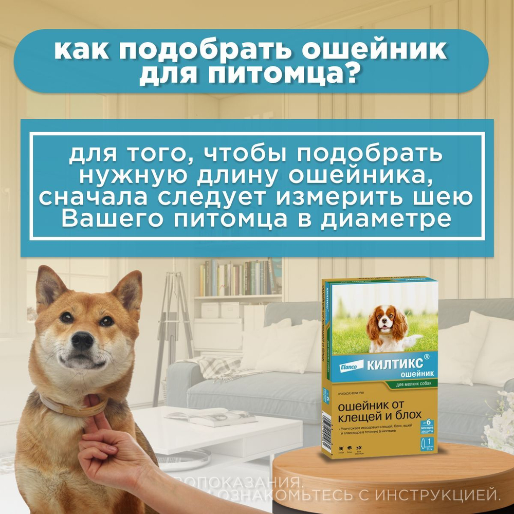 Elanco Килтикс Ошейник от клещей и блох для Собак мелких пород, Обхват шеи 35 см