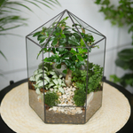 Флорариум бонсай Хижина