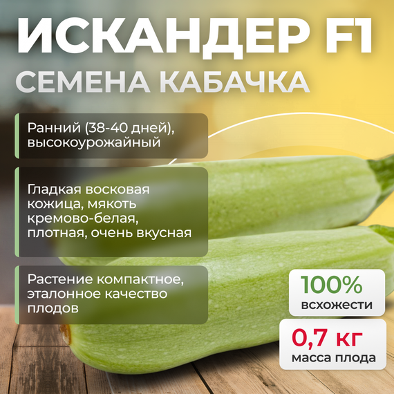 ИСКАНДЕР F1 семена кабачка Seminis купить