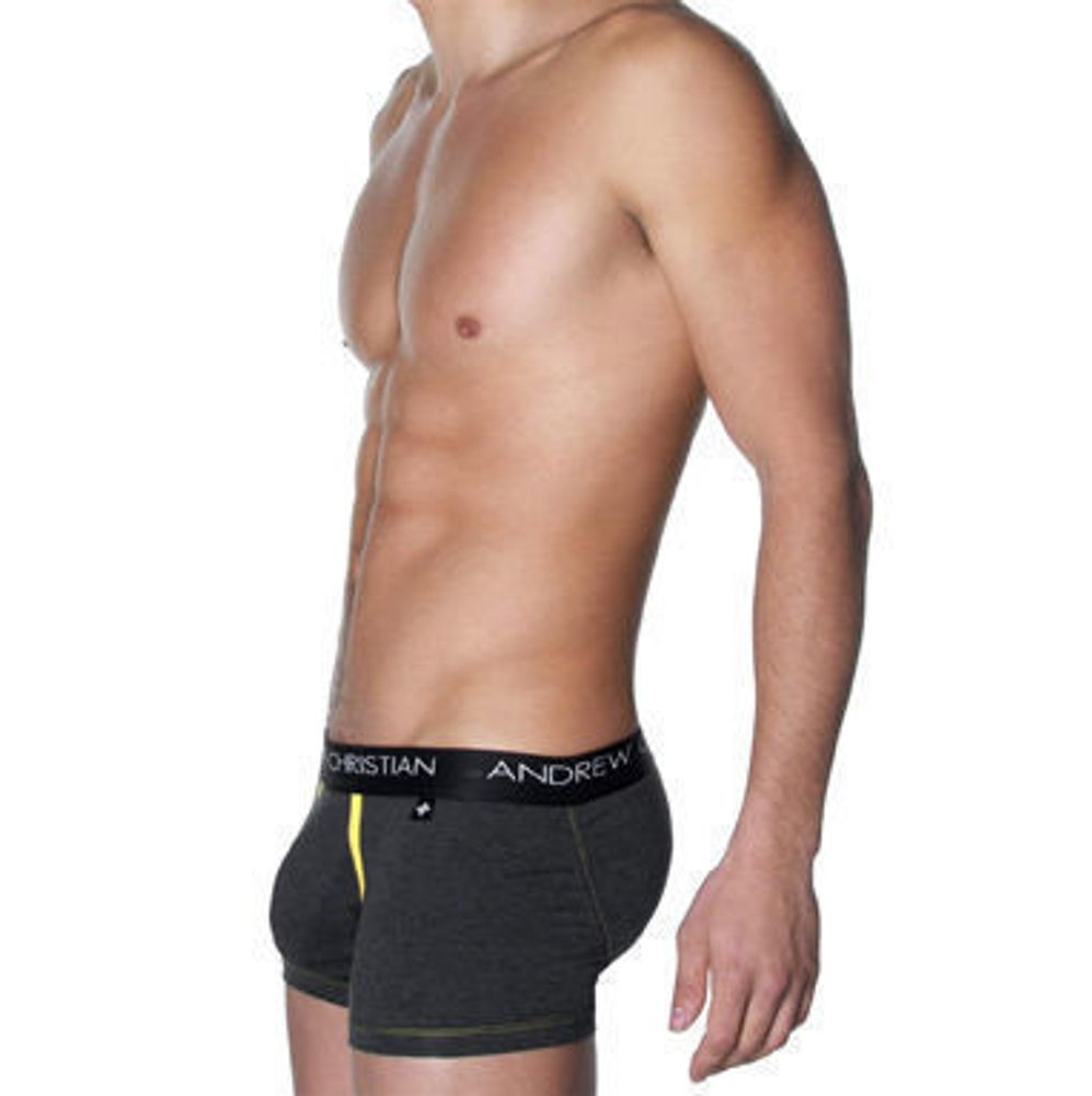 Мужские трусы боксеры серые Andrew Christian Flashlift Boxer Pro Charcoal AC41 Мужские трусы боксеры серые Andrew Christian Flashlift Boxer Pro Charcoal AC41