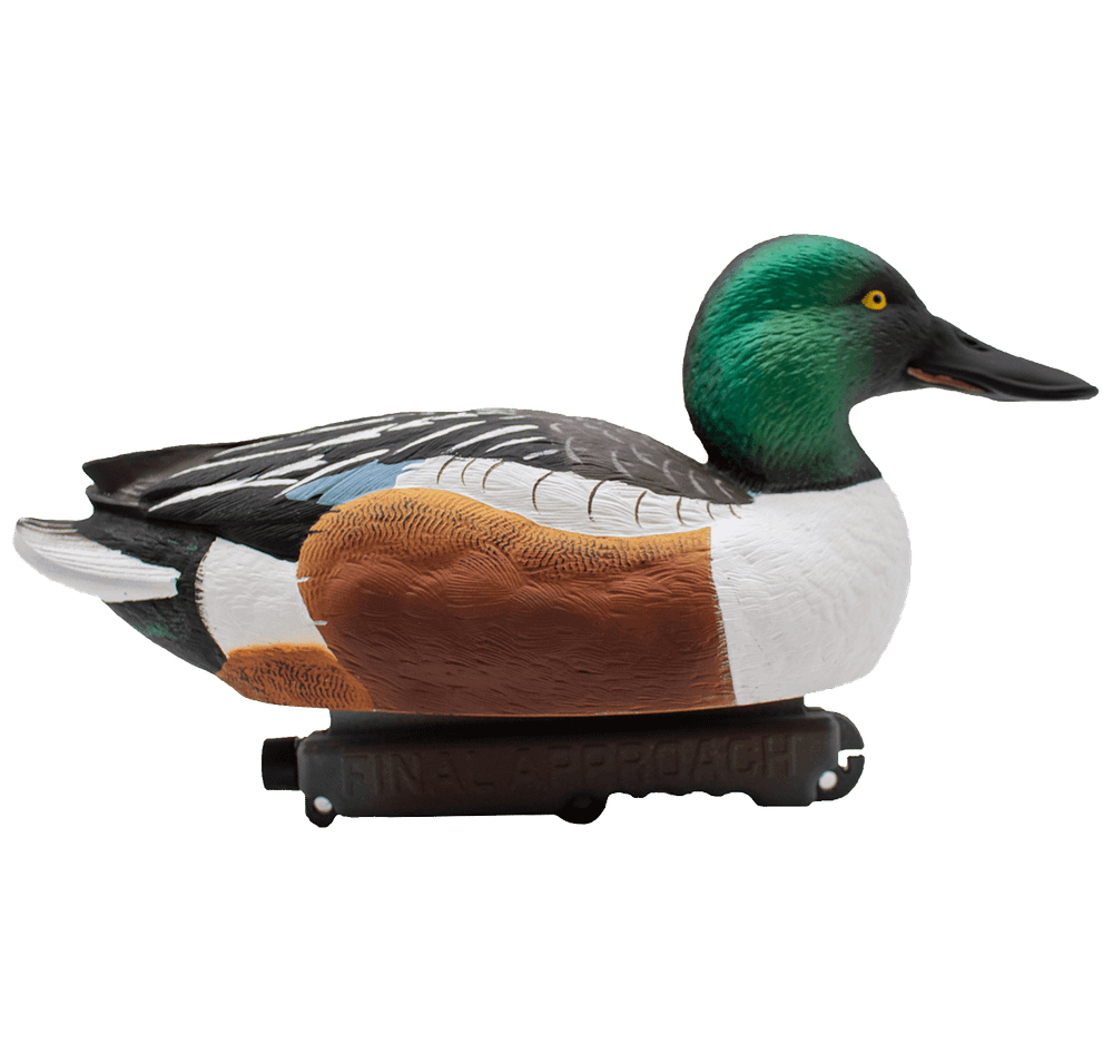 Широконос "FA-212530 LIVE NORTHERN SHOVELER SPOONBILL" FA 6 шт.