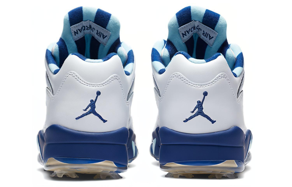 Кроссовки Jordan Air Jordan 5 Low Golf "Grape Ice"