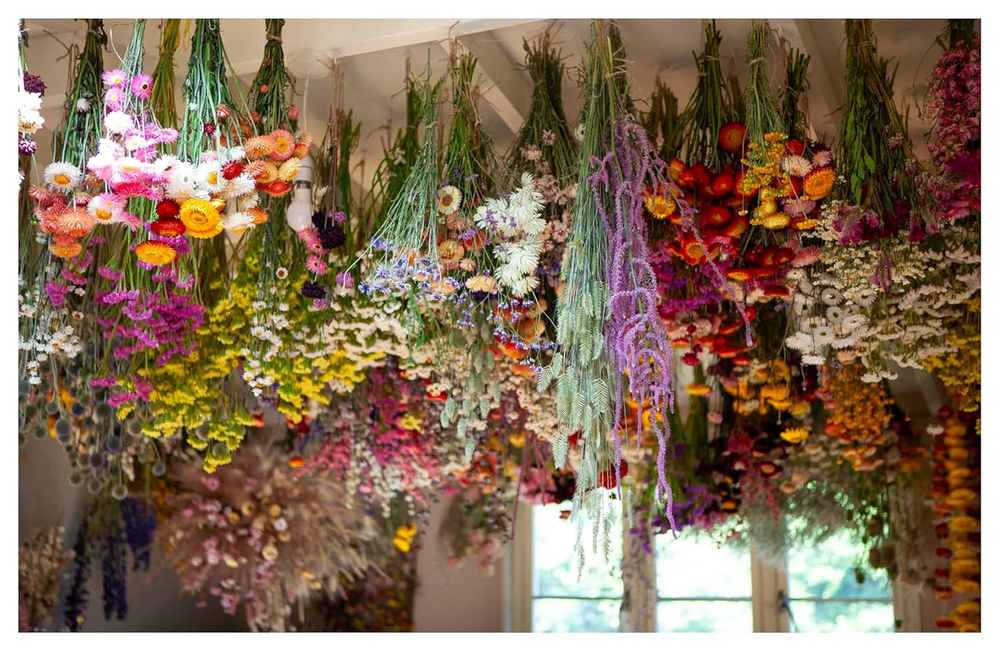Everlasting Blooms