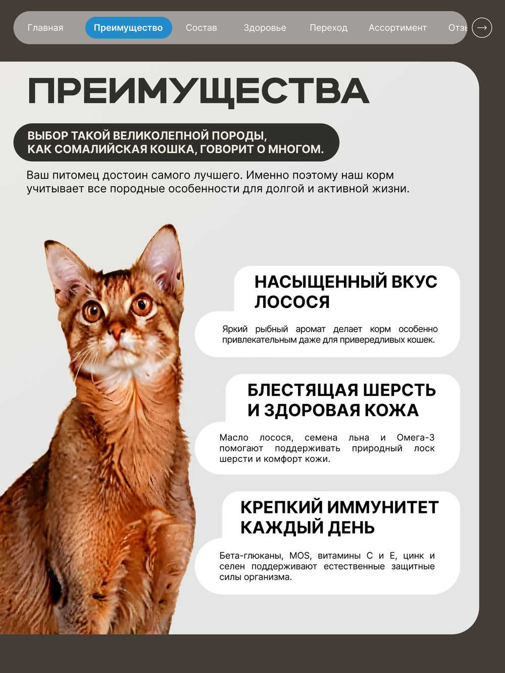 Корм сухой для взрослых кошек породы Сомалийская кошка, с лососем, 5 кг, QUATTRO
