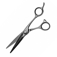 Ножницы парикмахерские для креативных стрижек, пойнтинга, слайсинга 6.0" Artero Evo Titanium T44860