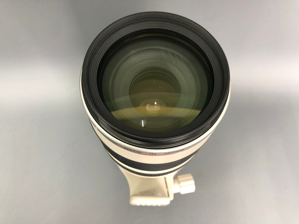 Canon EF 100-400mm 4.5-5.6L IS