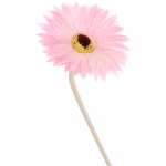 Цветок искусственный «Natur» 55см Гербера цвет розовый