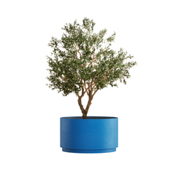 Кашпо, коллекция Classic, форма CYLINDER XL