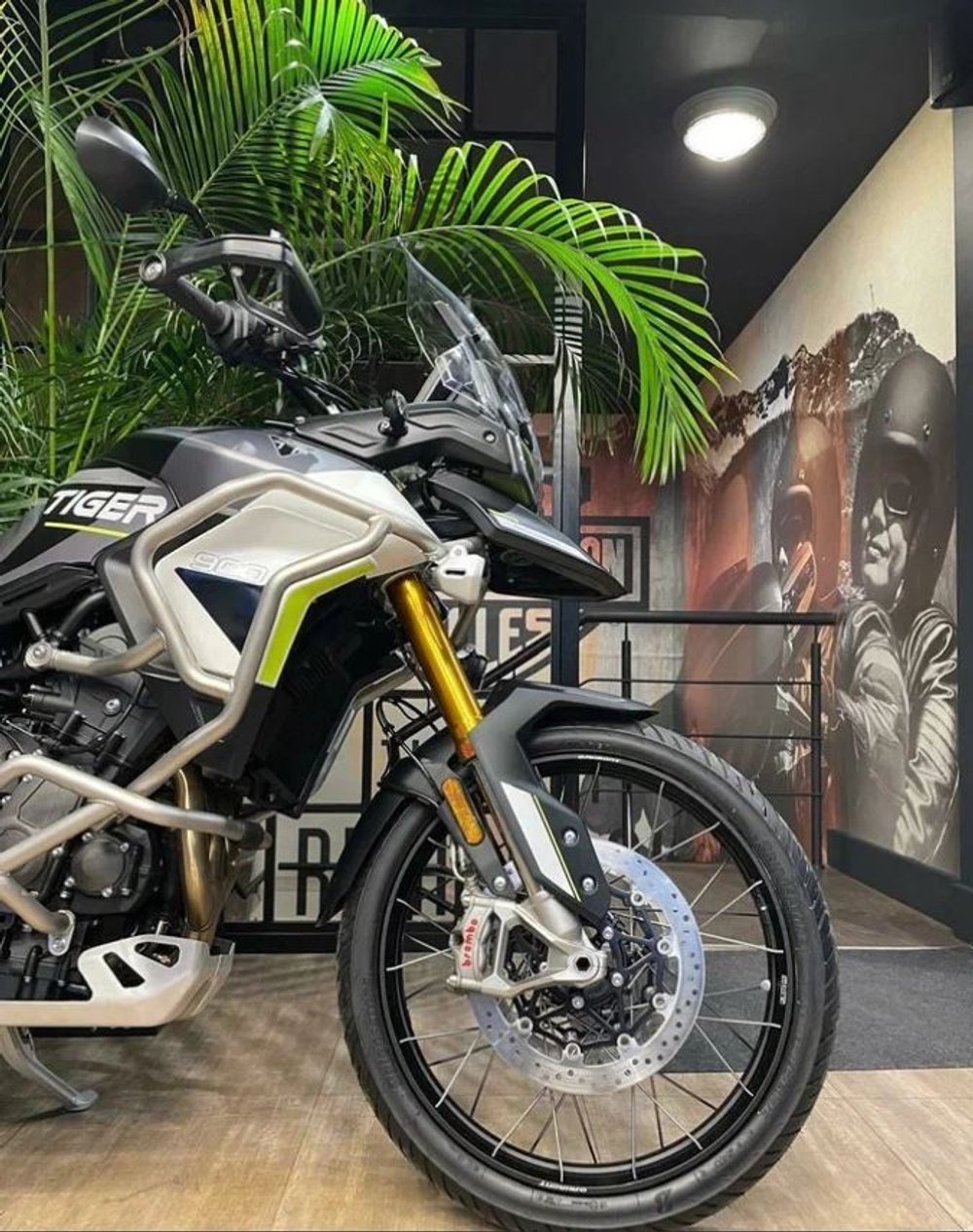 Tiger 900 Rally Aragon Edition