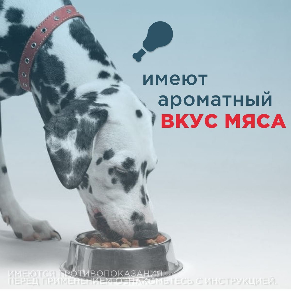Таблетки для собак от гельминтов и лямблий со вкусом мяса Дронтал плюс, 6 таблеток в упаковке. Празиквантел/Пирантел эмбонат/Фебантел