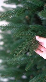 Ель искусственная «Смоленская» (Литая+пвх) 3 м