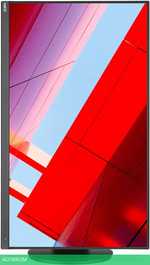 Монитор NEC MultiSync E243F