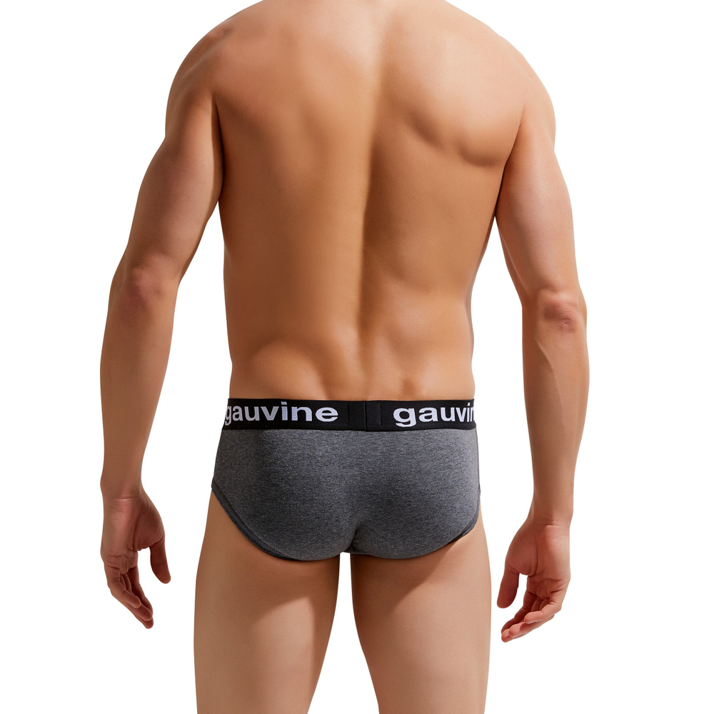 Мужские трусы брифы темно-серые меланж GAUVINE 2006