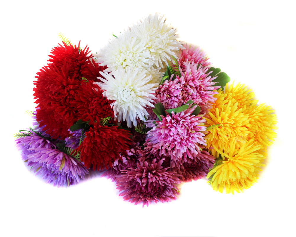 Букет астр 7 голов