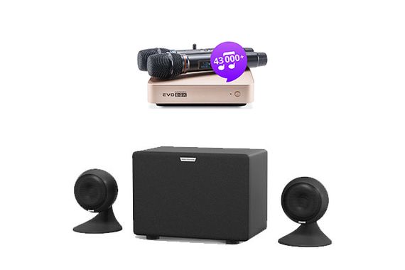 Комплект караоке Evolution Evobox Plus [Gold] + стереосистема EvoSound Sphere + годовая подписка на обновления