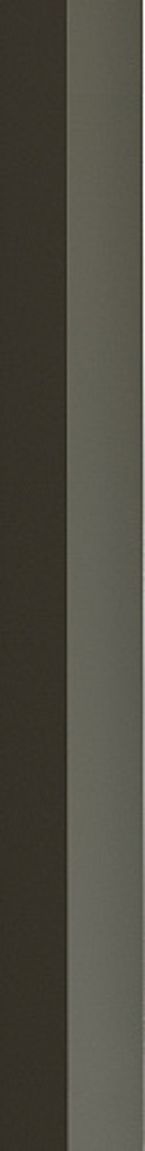 Керамическая плитка для стен WOW FACES Hill Pine 5х40