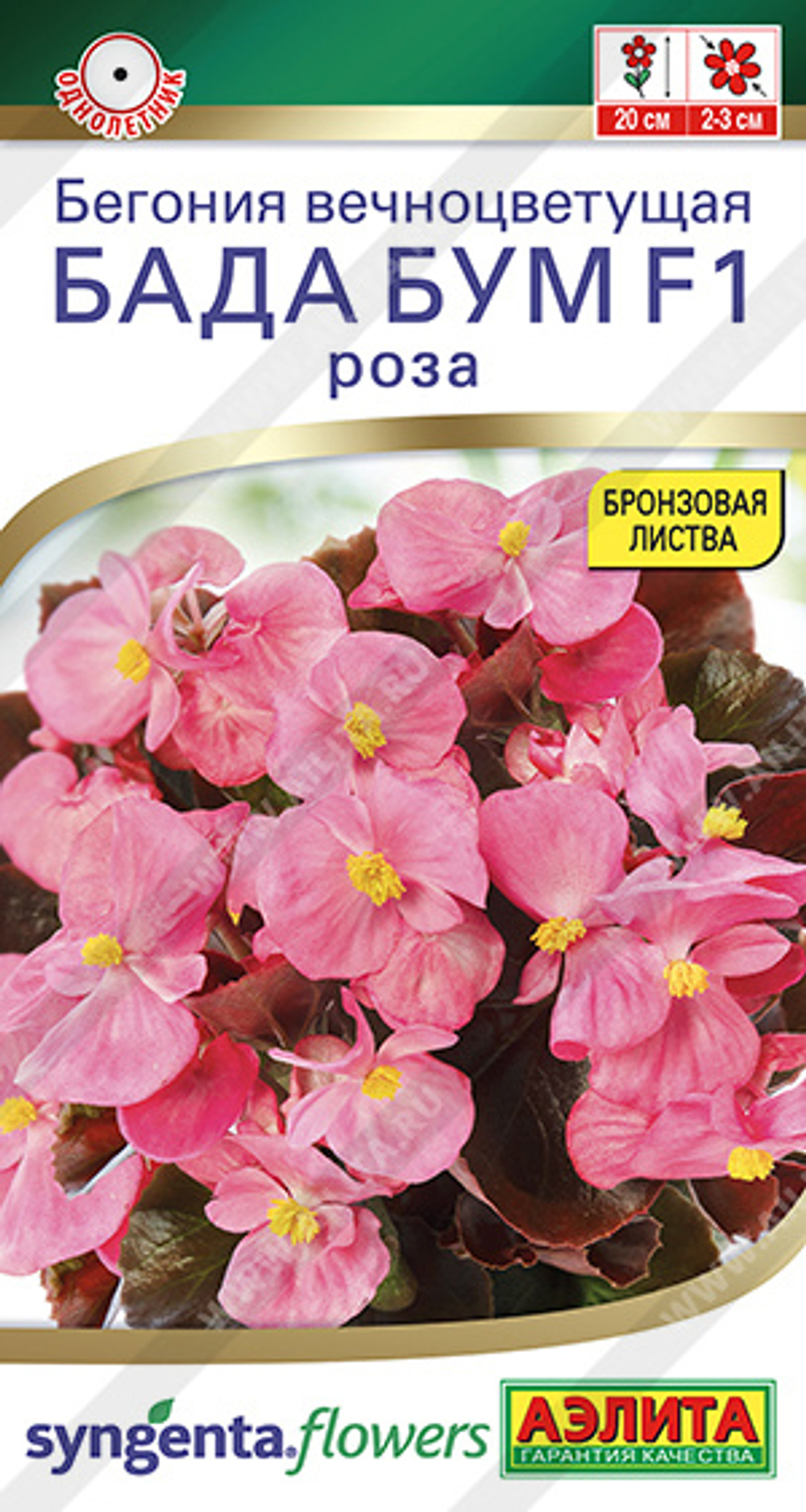 Бегония Бада Бум F1 роза 5 шт (Аэлита)