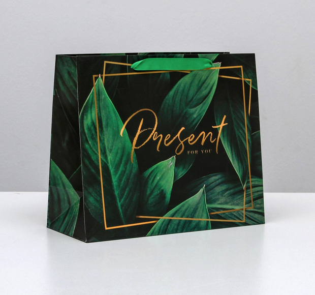 Пакет ламинированный горизонтальный Present for you, ML 27 × 23 × 11,5 см