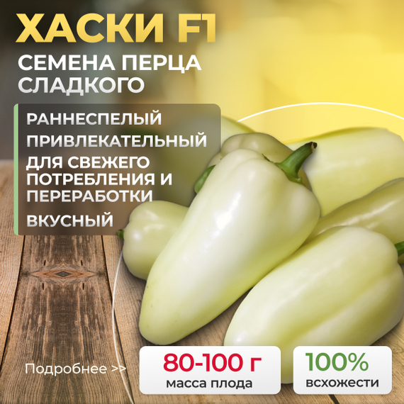 ХАСКИ_F1_семена_перца_сладкого_Enza_Zaden_купить_перец – фото 1