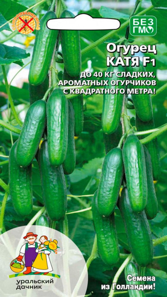 Огурец &quot;G. Катя F1&quot; 5шт., Россия.