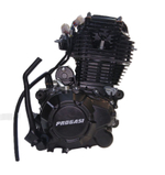 Двигатель ZS 172FMM-3A (CB250-F) Мотоцикл PROGASI Palma 250