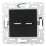 SKANDY Розетка USB A+A 3,1А SK-R15Bl черный IEK
