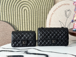 Chanel Bag (2 sizes)