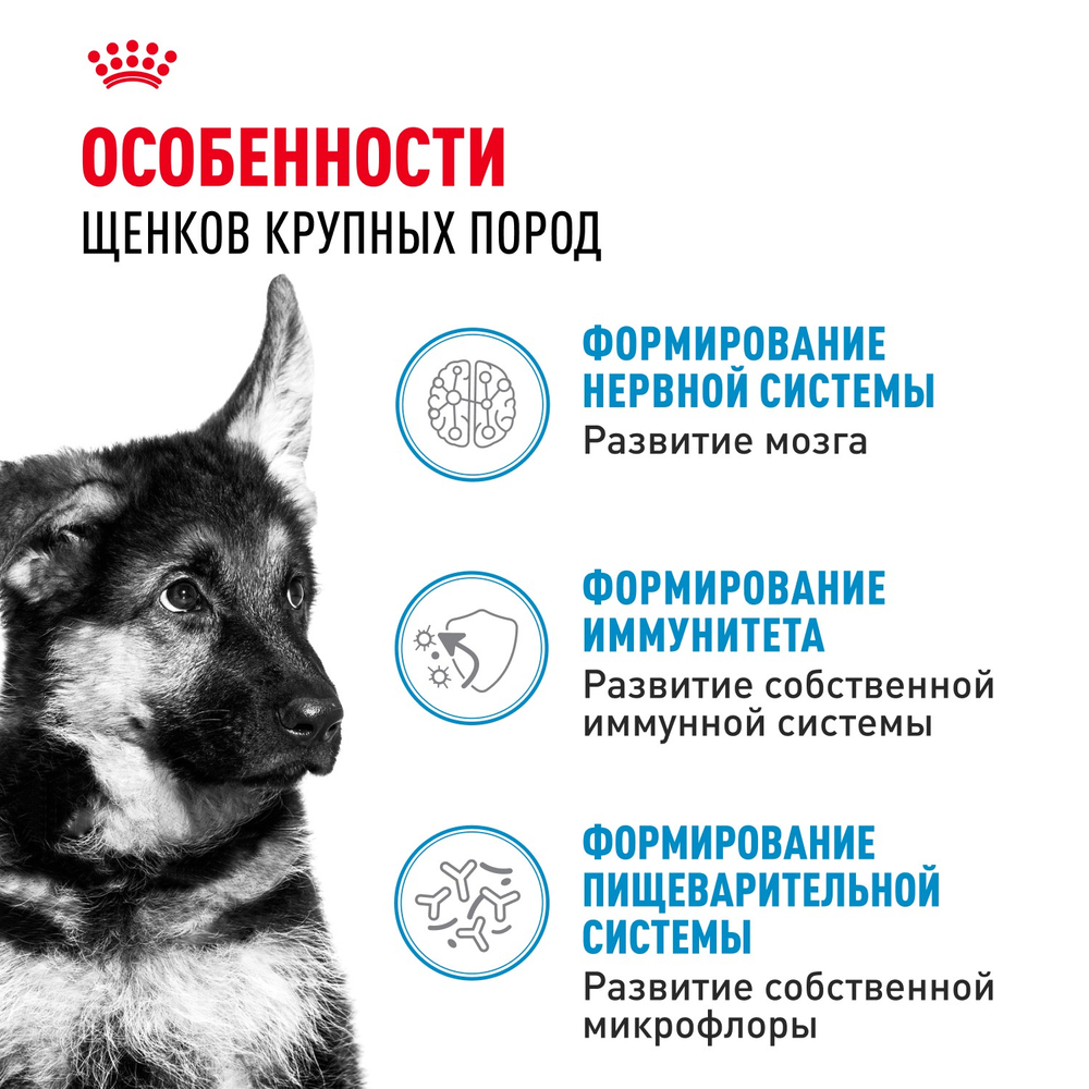 Royal Canin Maxi Puppy Влажный корм для щенков крупных пород в возрасте до 15 месяцев 100г