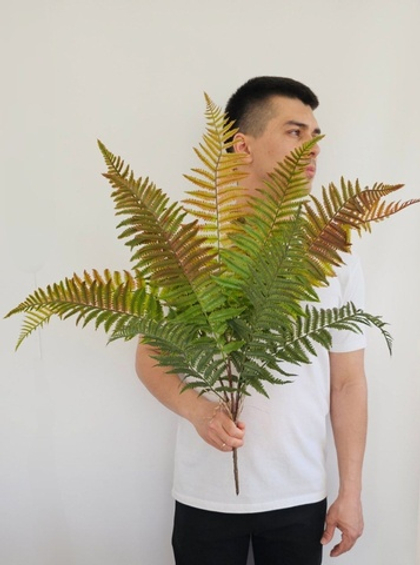 Папоротник крупный / Арт 6277