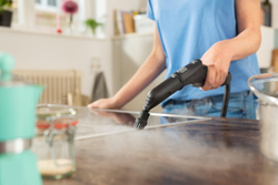 Пароочиститель SC 3 Deluxe EasyFix