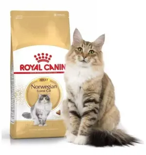 Корм для кошек породы норвежская лесная, Royal Canin Norwegian Forest Cat, в возрасте от 1 года и старше