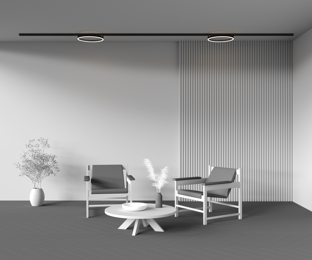 Магнитный трековый светильник Maytoni EXILITY Rim TR227-2-24W3K-B