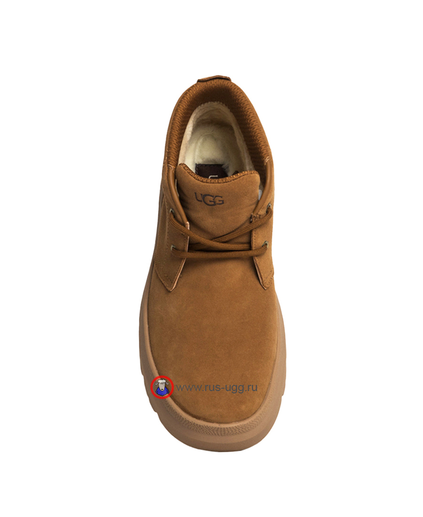 MEN'S BURLEIGH CHUKKA Chestnut