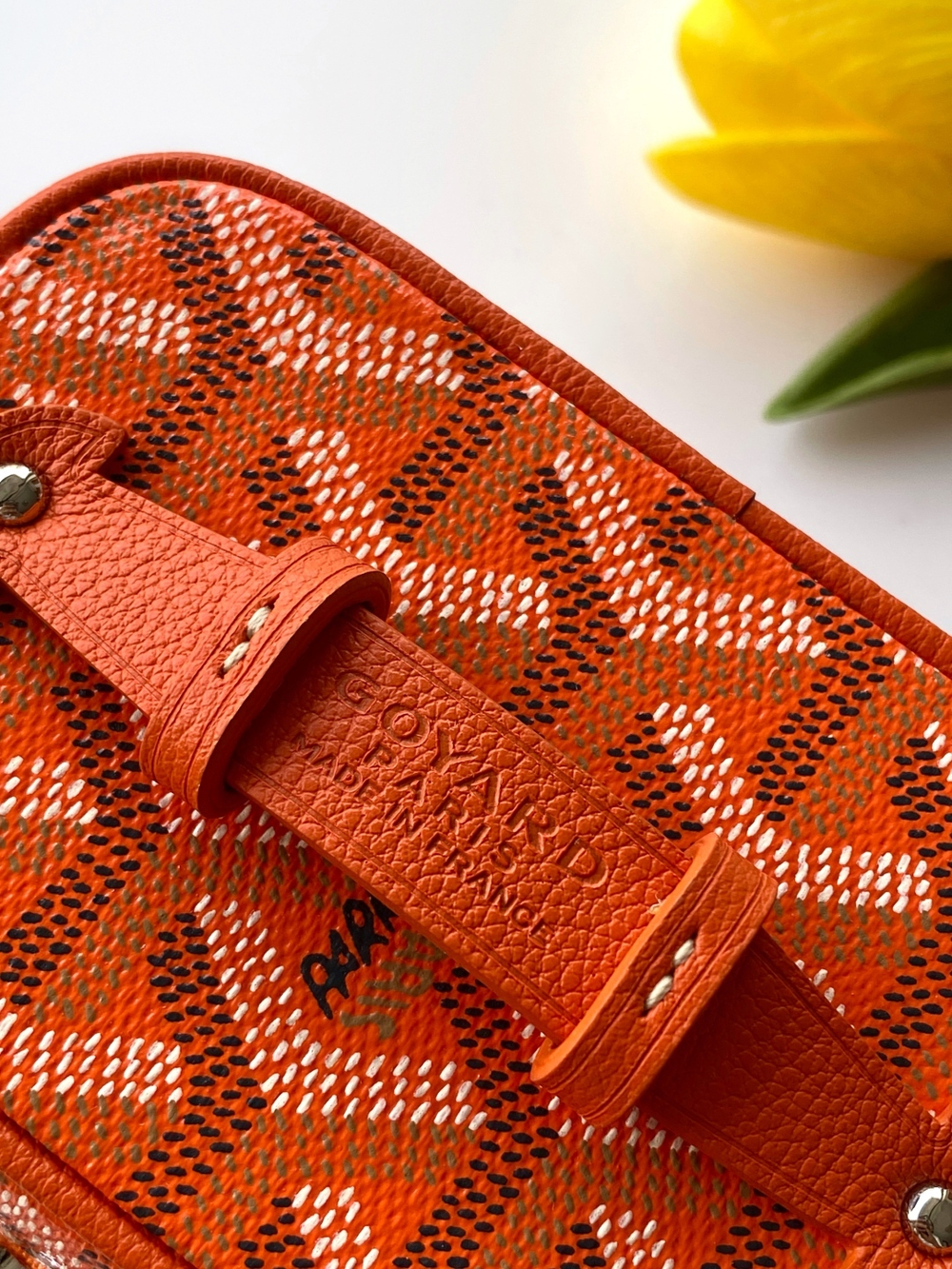 Goyard Muse Nano Vanity