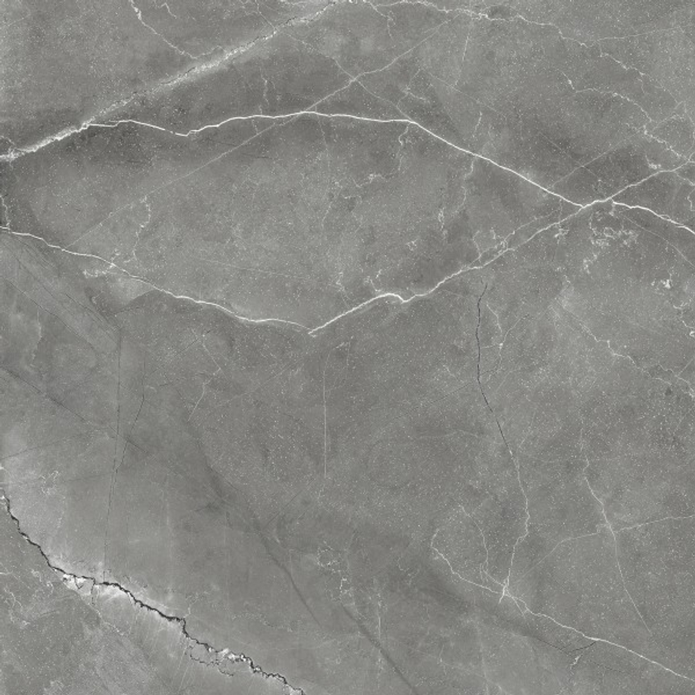 PULPIS NERO CR6011-A