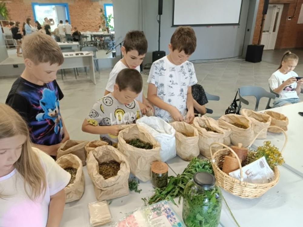 Боярский сбор 50гр.