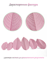 Шиповник морщинистый