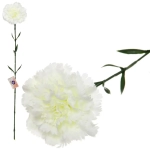 Цветок искусственный «Гвоздика» 68см белая