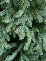 литая голубая хвоя у искусственной елки