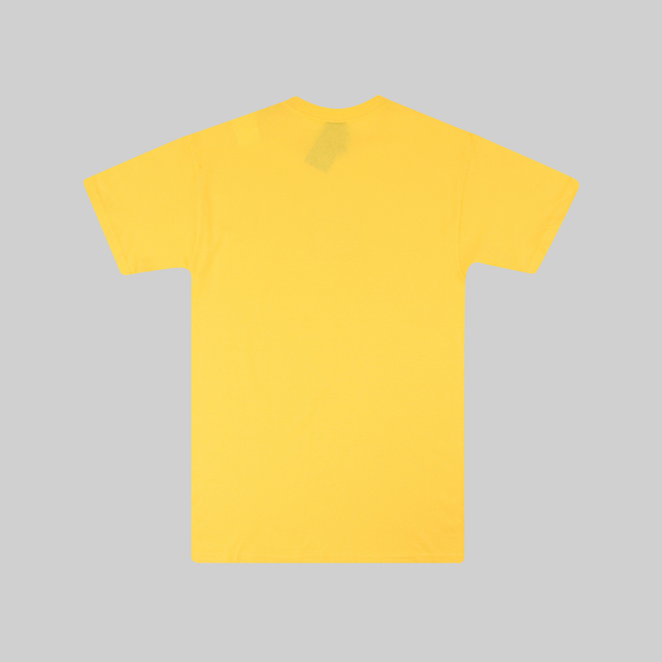 Футболка мужская HUF Essentials Box Logo артикул:TS01666-LMYLW - купить в магазине Дайс