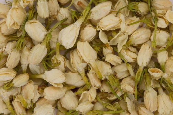 Kwiaty jaśminu (Molihua)