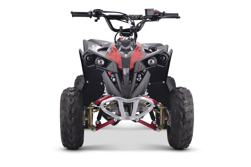 Квадроцикл YACOTA RENEGADE Mini 110