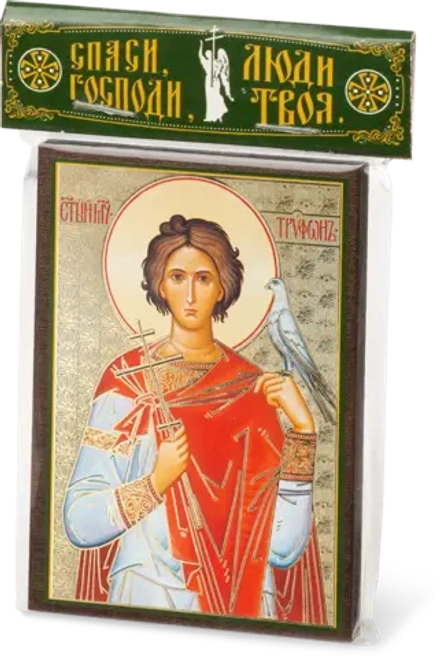 Икона "Трифон Апамейский" 6х9 на МДФ-6