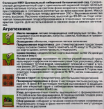 Томат Толстый Боцман 0,05 г СМТ-536