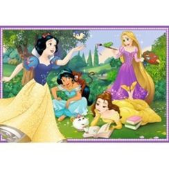 Puzzle DPR:Welt der Disney Prinz 2x12 pcs