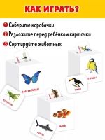 Сортер-копилка «Животные» по методике Г. Домана